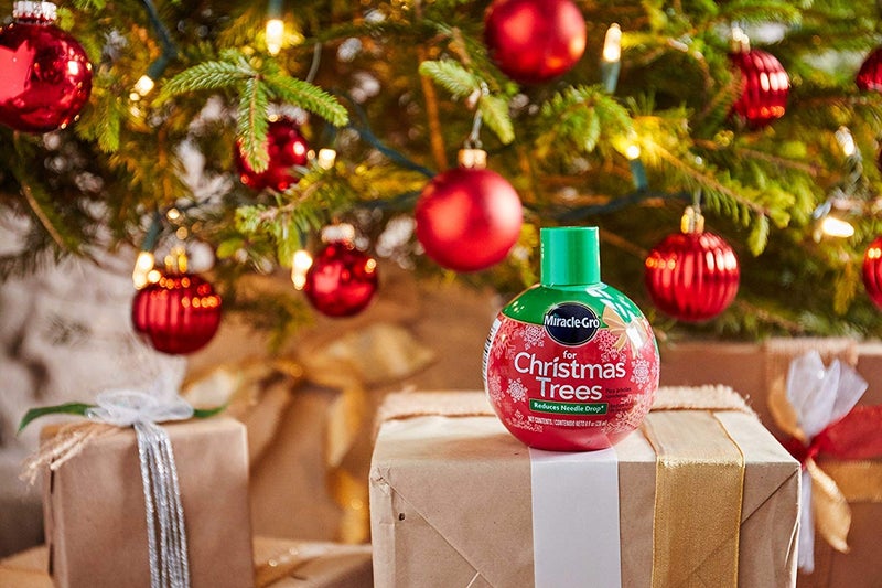 Miracle-Gro for Christmas Trees Plant Food, Hydrates Trees and Keeps Christmas Trees Green All Holiday Season, 2-Pack - Image 2
